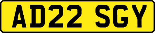 AD22SGY