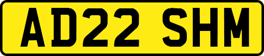 AD22SHM