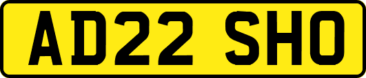 AD22SHO