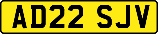 AD22SJV