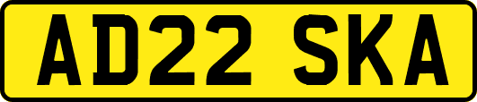 AD22SKA