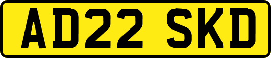 AD22SKD