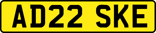AD22SKE