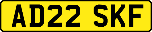 AD22SKF