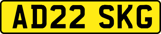 AD22SKG
