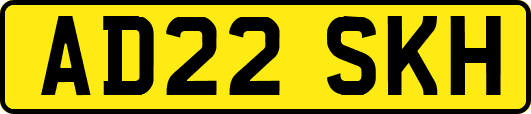 AD22SKH