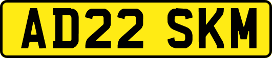 AD22SKM