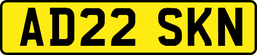 AD22SKN