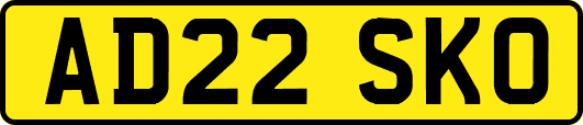 AD22SKO
