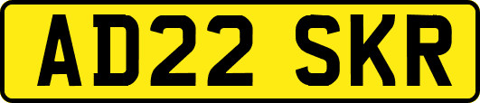 AD22SKR