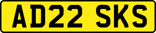 AD22SKS