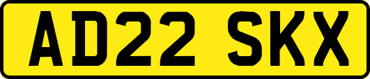 AD22SKX