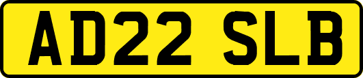 AD22SLB