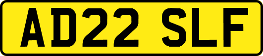 AD22SLF