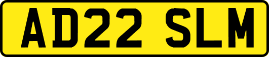 AD22SLM