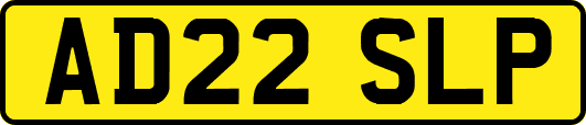AD22SLP