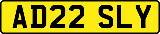 AD22SLY