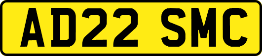 AD22SMC