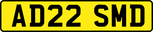 AD22SMD