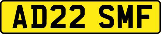 AD22SMF