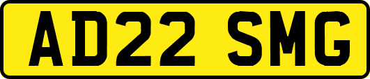 AD22SMG
