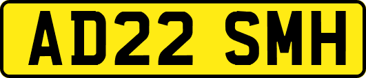 AD22SMH