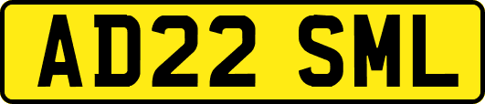 AD22SML