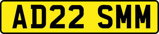 AD22SMM