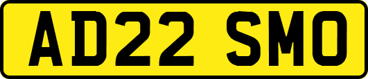 AD22SMO