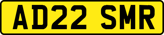 AD22SMR