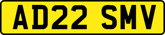 AD22SMV