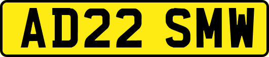 AD22SMW