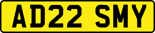 AD22SMY