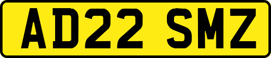 AD22SMZ
