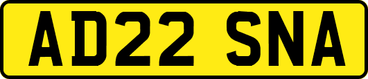 AD22SNA