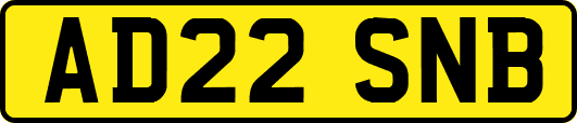 AD22SNB