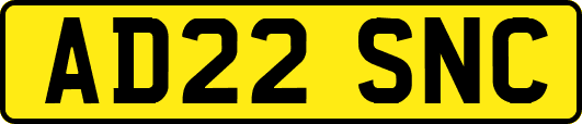 AD22SNC
