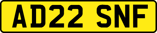 AD22SNF