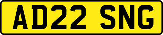 AD22SNG
