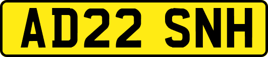 AD22SNH