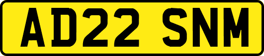 AD22SNM