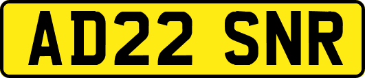 AD22SNR