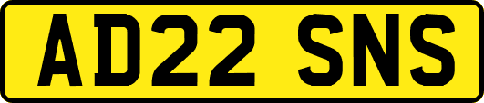 AD22SNS