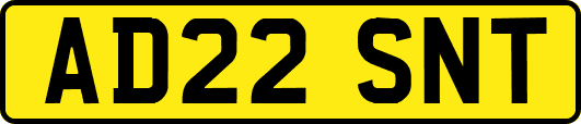 AD22SNT