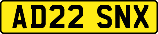 AD22SNX