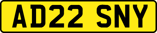 AD22SNY