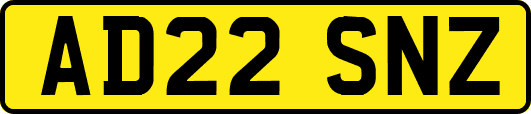 AD22SNZ