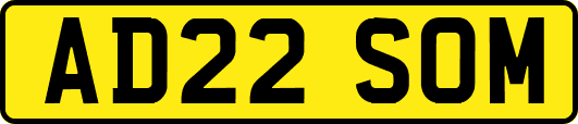 AD22SOM