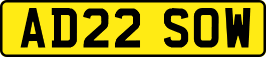 AD22SOW