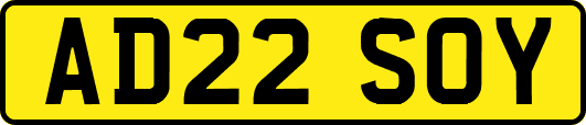 AD22SOY